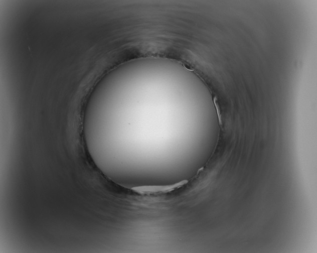 X0000089881153200707121807