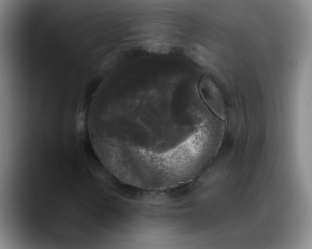 X0000089881154200707121807