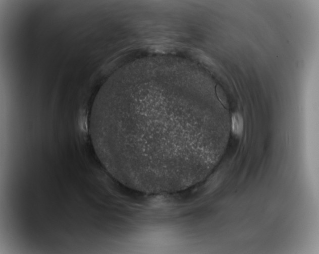 X0000089881155200707121807