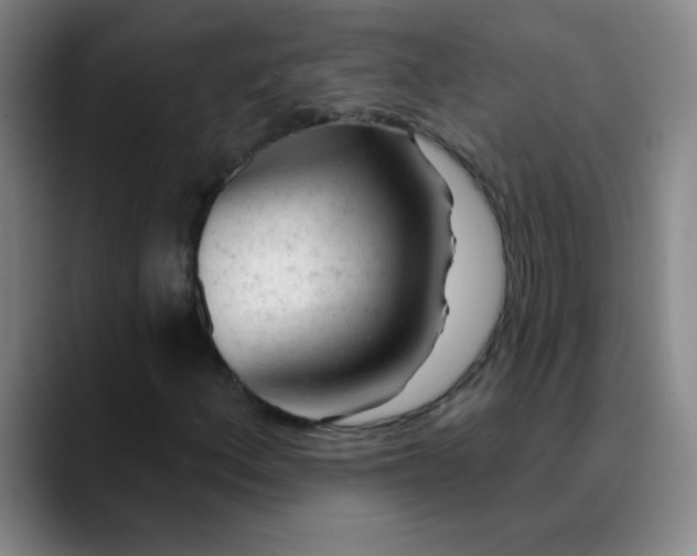 X0000089881156200707121807