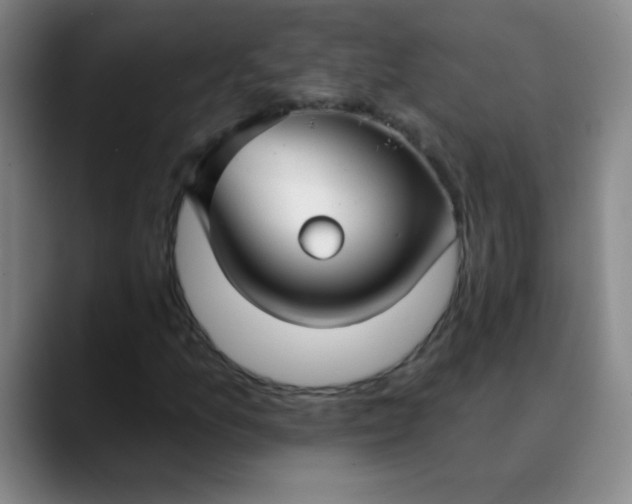 X0000089881157200707121807