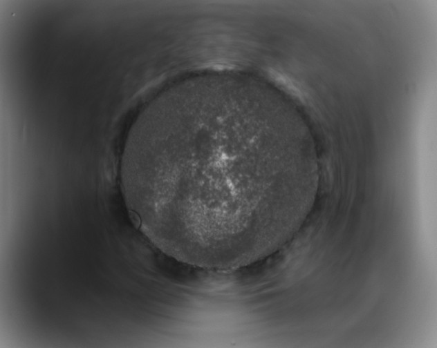 X0000089881158200707121807