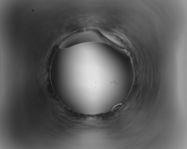 X0000089881160200707121807