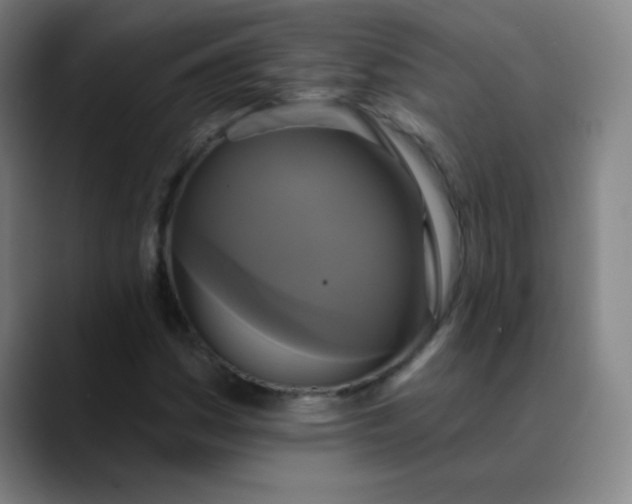 X0000089881161200707121807