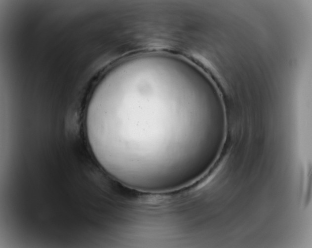 X0000089881163200707121807