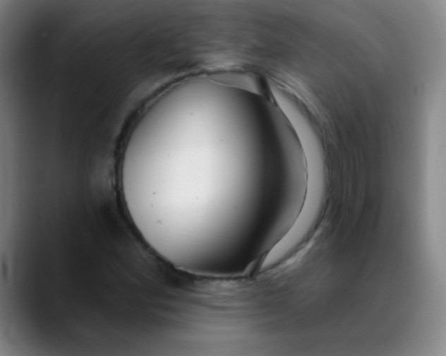 X0000089881164200707121807