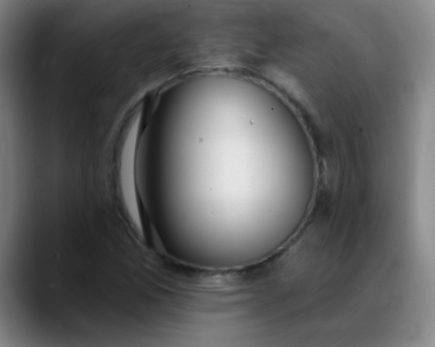 X0000089881165200707121807