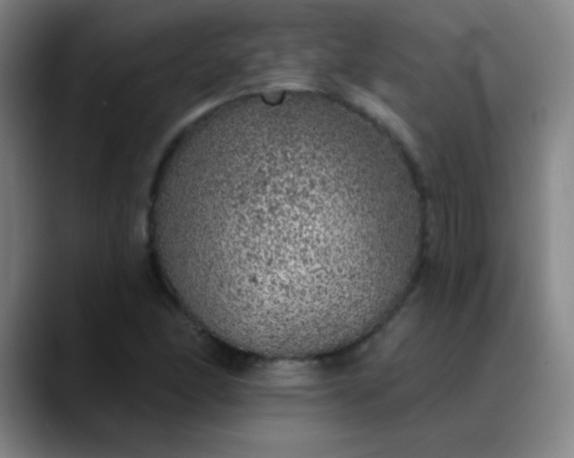 X0000089881166200707121807