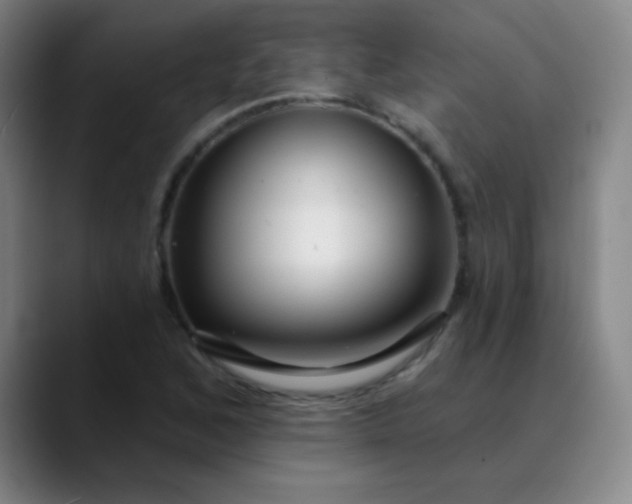 X0000089881168200707121807