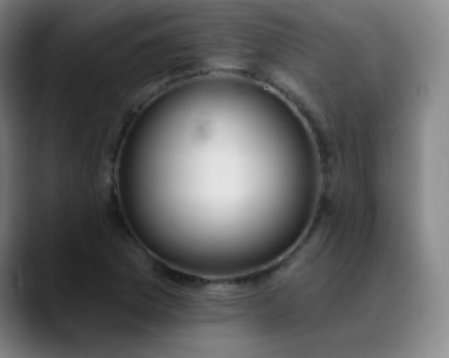 X0000089881169200707121807