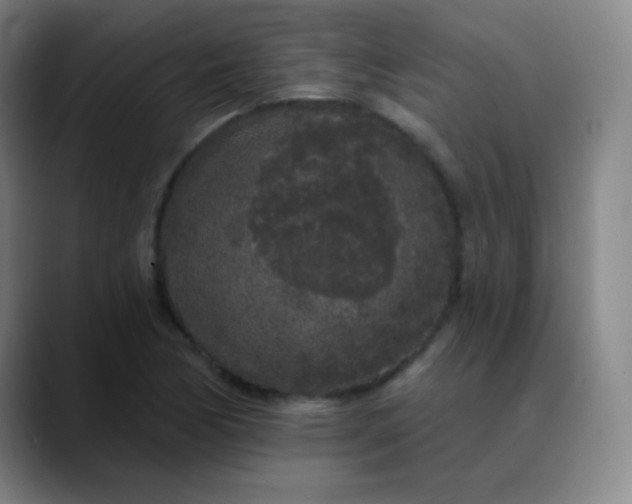 X0000089881170200707121807