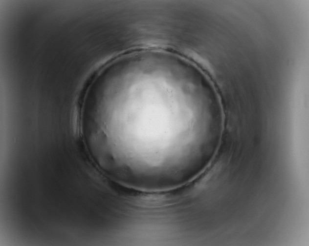 X0000089881171200707121807