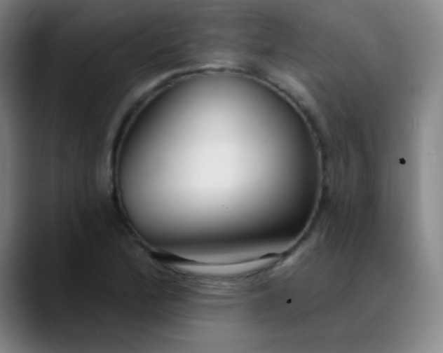 X0000089881172200707121807