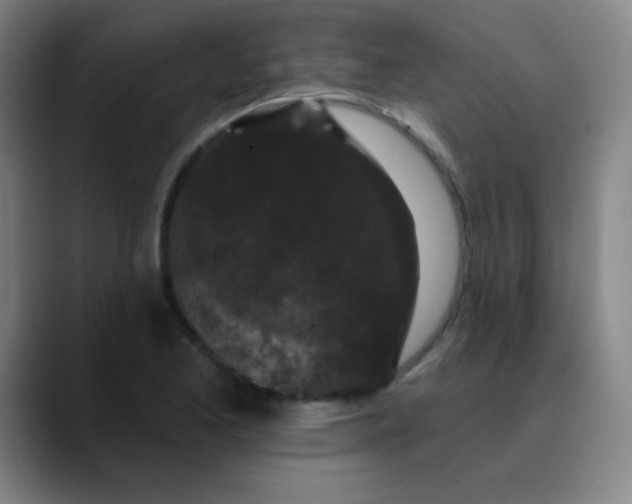 X0000089881173200707121807