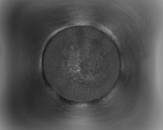 X0000089881174200707121807