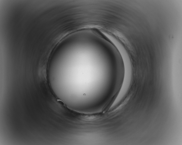 X0000089881177200707121807