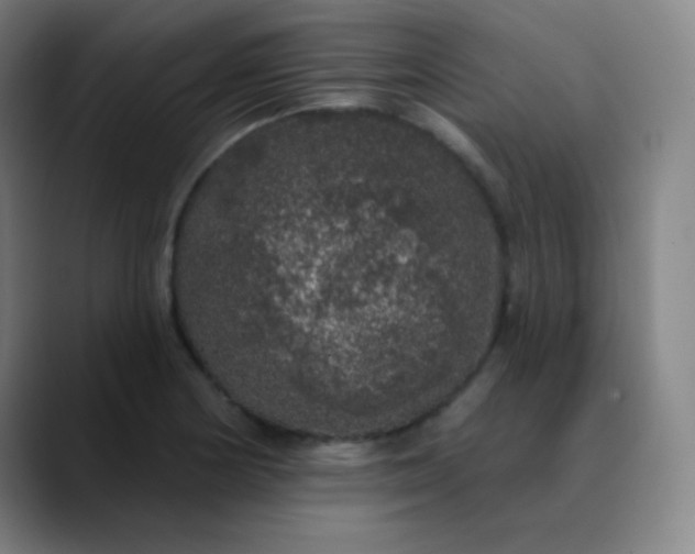 X0000089881178200707121807