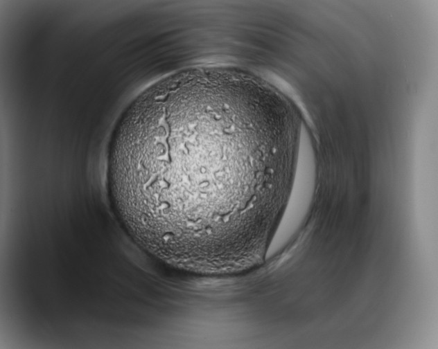 X0000089881179200707121807