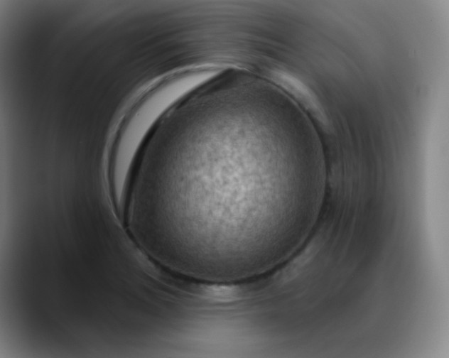 X0000089881180200707121807