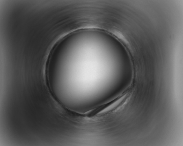 X0000089881181200707121807