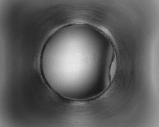 X0000089881183200707121807