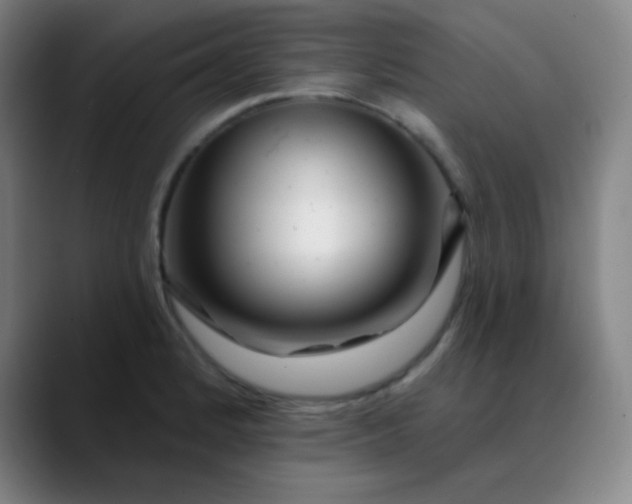 X0000089881184200707121807