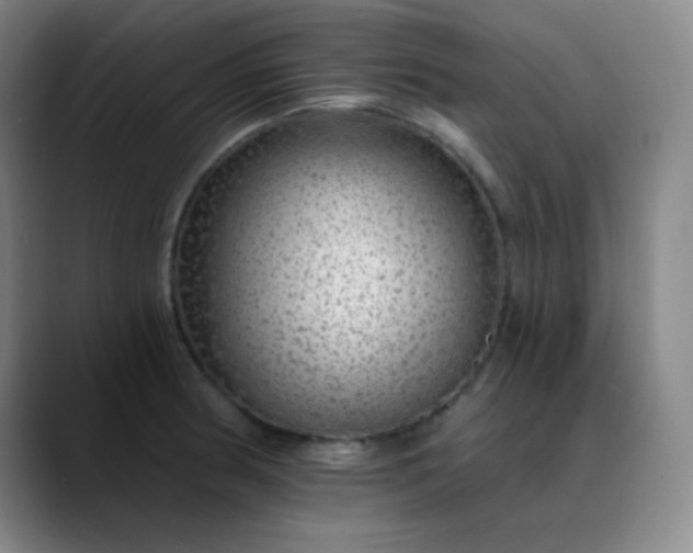 X0000089881186200707121807