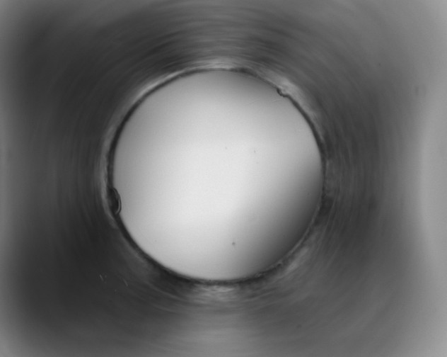 X0000089881187200707121807