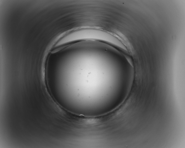 X0000089881188200707121807