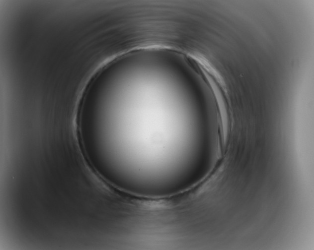 X0000089881189200707121807