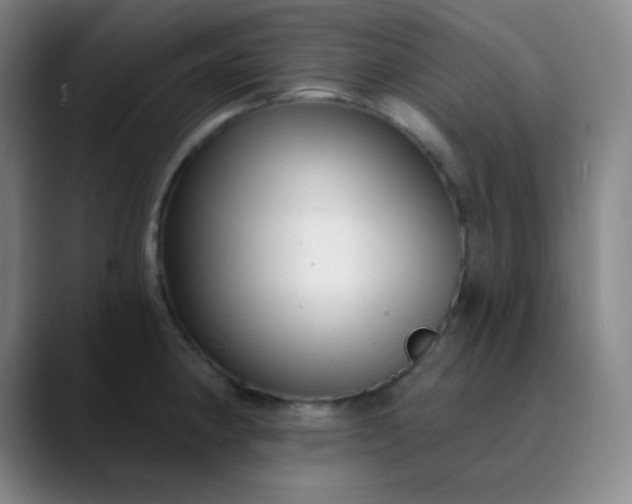 X0000089881190200707121807