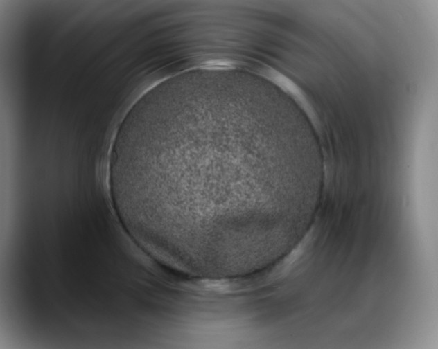 X0000089881194200707121807