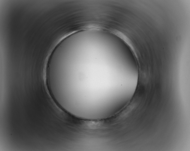 X0000089881195200707121807