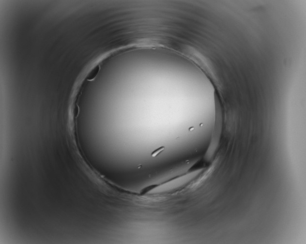 X0000089881196200707121807