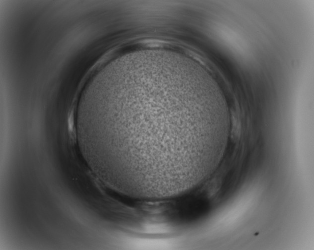 X0000089881198200707121807