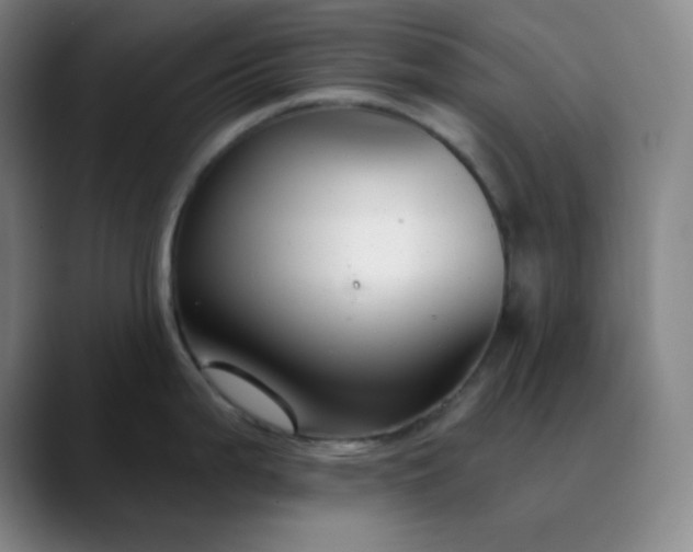 X0000089881199200707121807