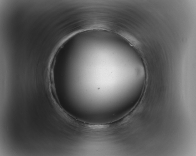 X0000089881200200707121807