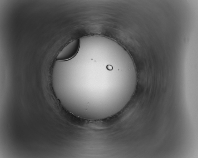 X0000089881201200707121806