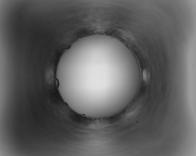 X0000089881203200707121806