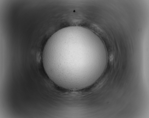 X0000089881204200707121806