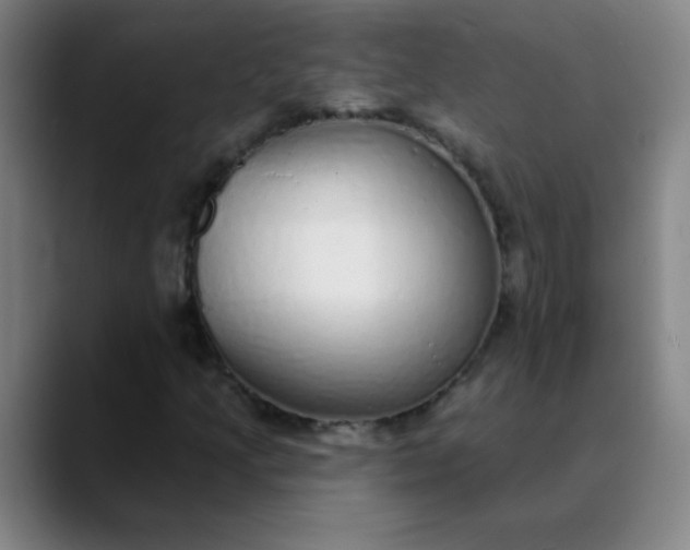 X0000089881205200707121806