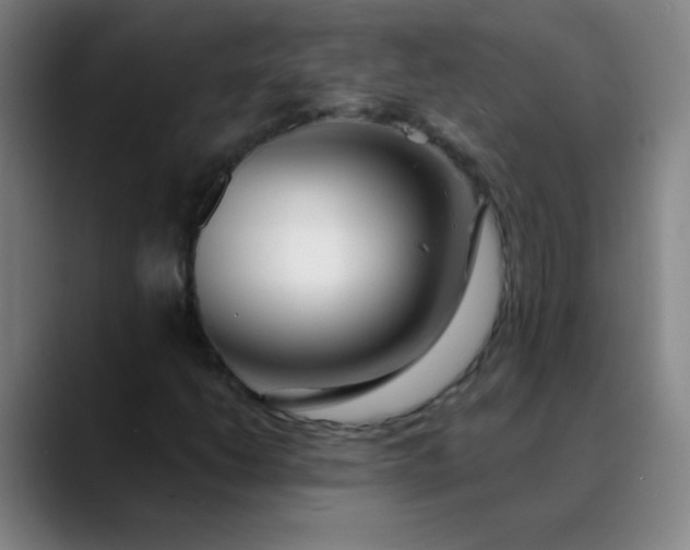 X0000089881206200707121806