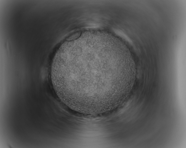 X0000089881208200707121806