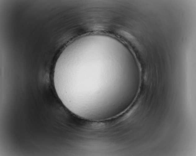 X0000089881209200707121806