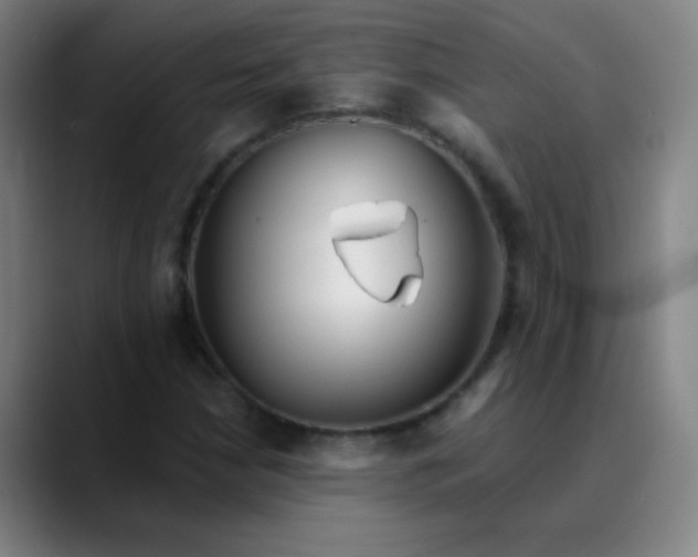 X0000089881210200707121806