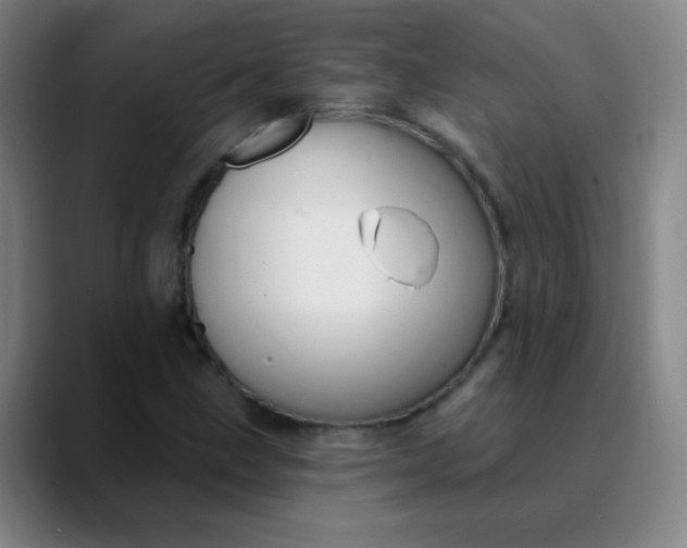 X0000089881211200707121806