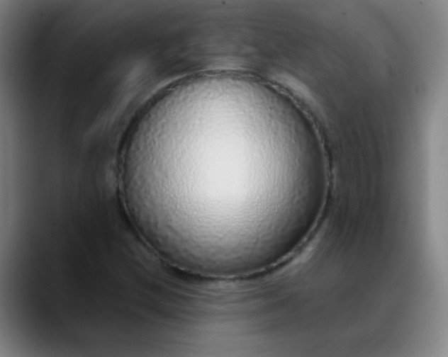 X0000089881212200707121806