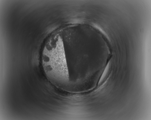 X0000089881213200707121806