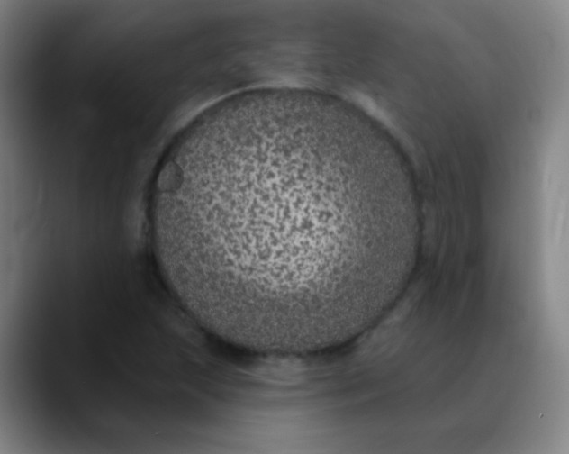 X0000089881215200707121806