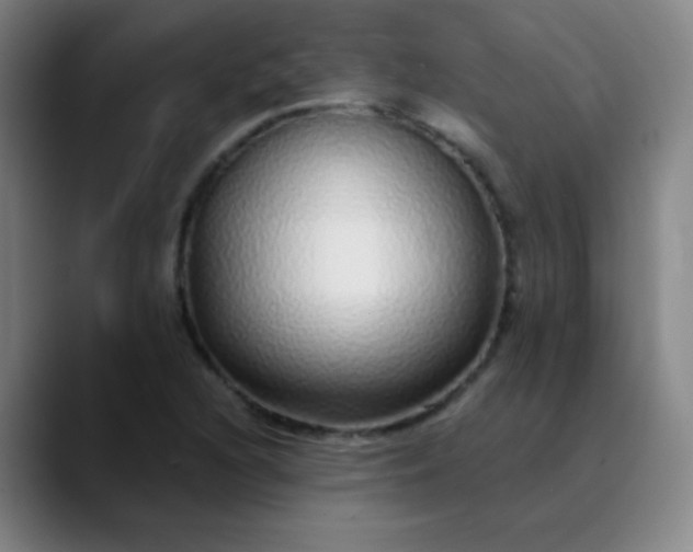 X0000089881216200707121806